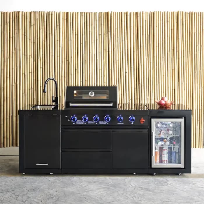 Pergola, cuisine mobile robuste, barbecue au gaz en acier inoxydable, conçu pour les rassemblements 