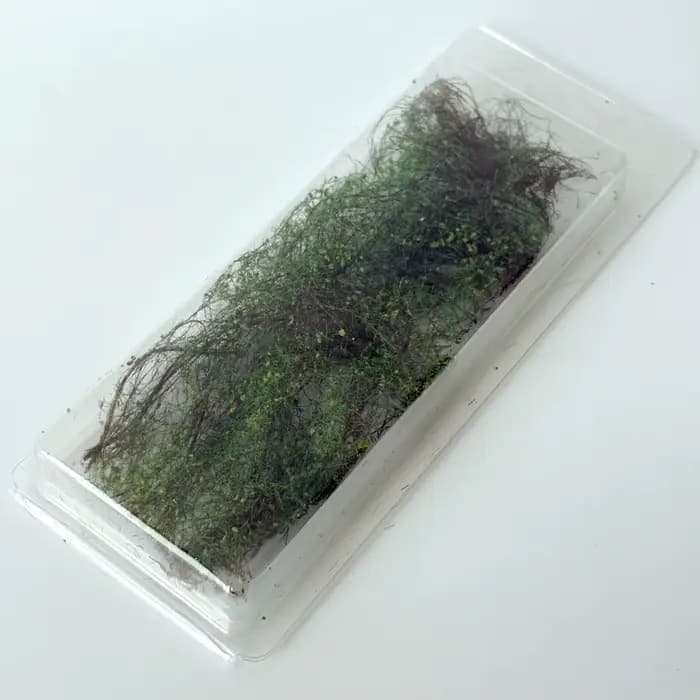 1 Pack de Vigne Artificielle, Vigne Miniature de Vegetation Statique pour Modèles Réduits de Chemins