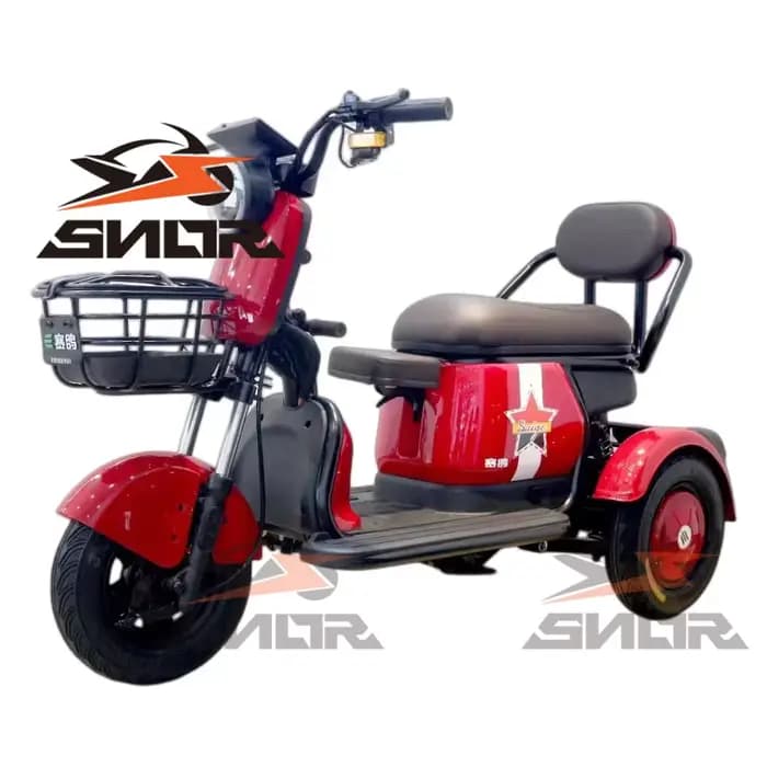 Chine Tricycle électrique adulte à 3 roues avec siège enfant et barre de poignée Certificat CEE Tric