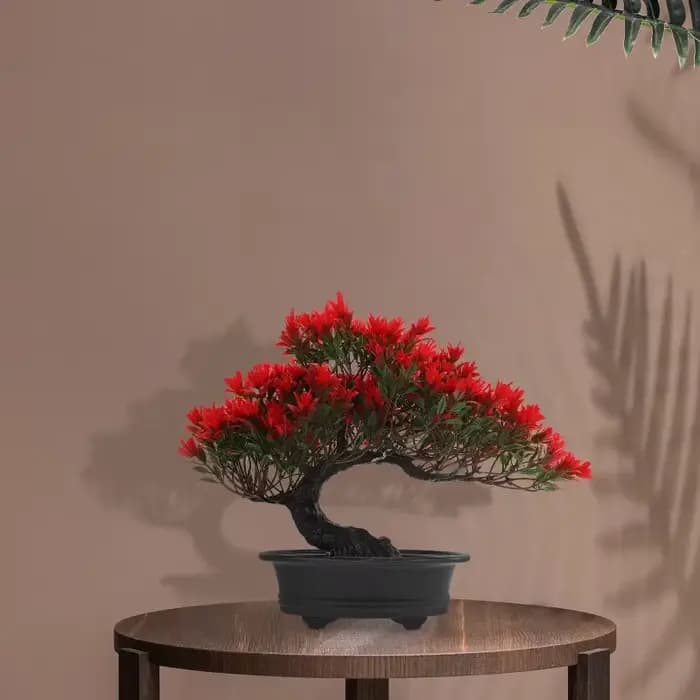Bonsaï réaliste en pin rouge