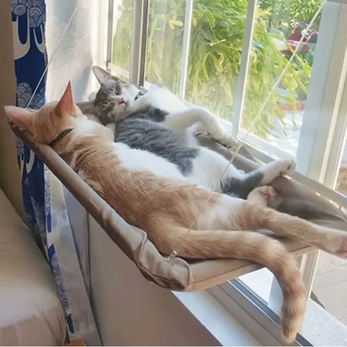 Hamac suspendu pour chat