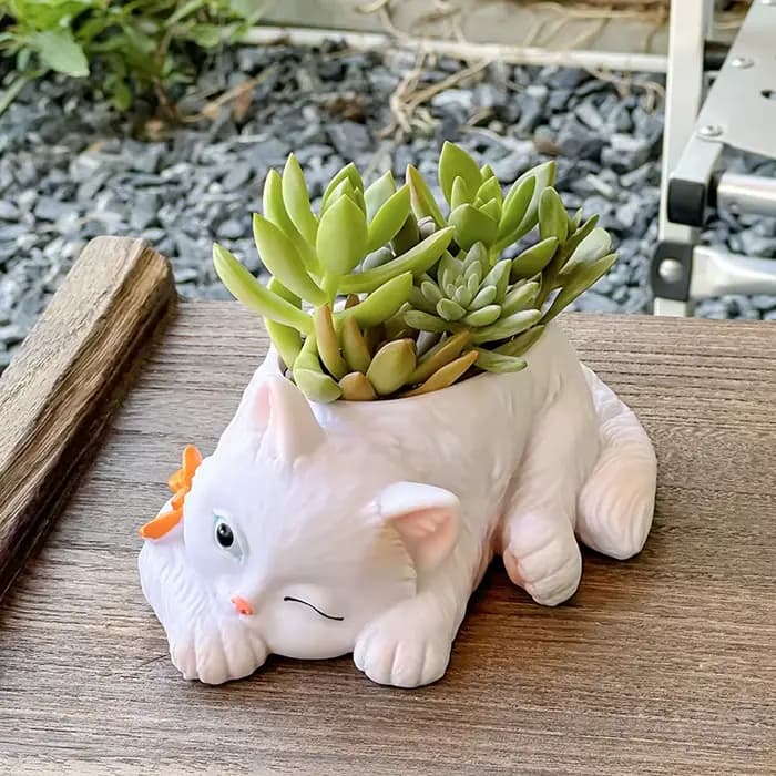 Pot de fleurs succulentes chat mignon, plantes vertes de balcon, salon, maison, bureau, plante en pot, décoration de la maison