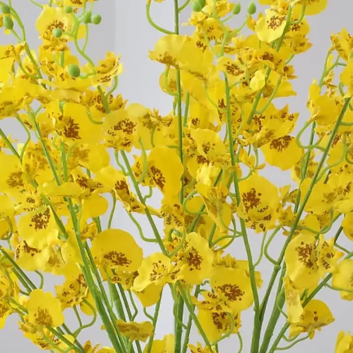 Orchidée phtalorchidée artificielle à 5 fourches Wenxin