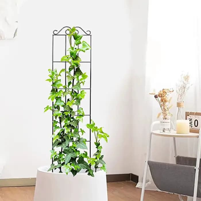 Treillis de jardin en métal pour plantes grimpantes