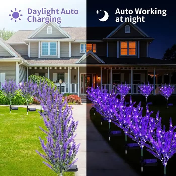 Décoration de jardin, pelouse