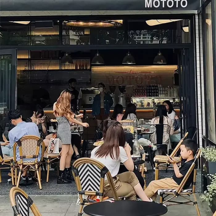 Chaise de salle à manger française pour café, restaurant vintage, siège en métal, chaise de jardin en PE imitation lierre pour cour, chaises rustiques pour balcon