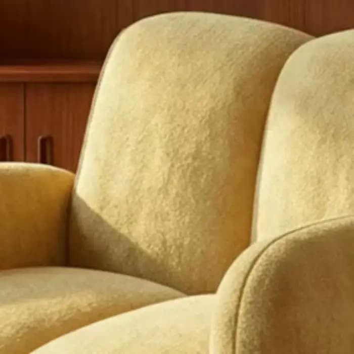 Fauteuil moelleux nordique