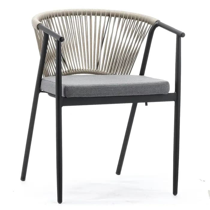 Chaise d'accoudoir de salle à manger avec cadre métallique