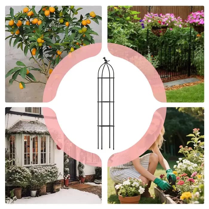 Treillis décoratif pour plantes en pot