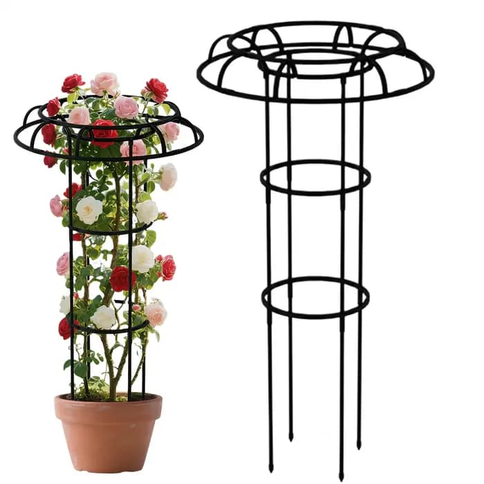 Treillis de jardin artistique pour plantes grimpantes