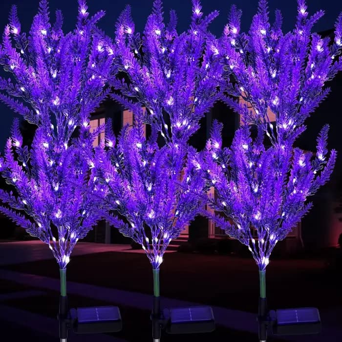 Décoration de jardin, pelouse