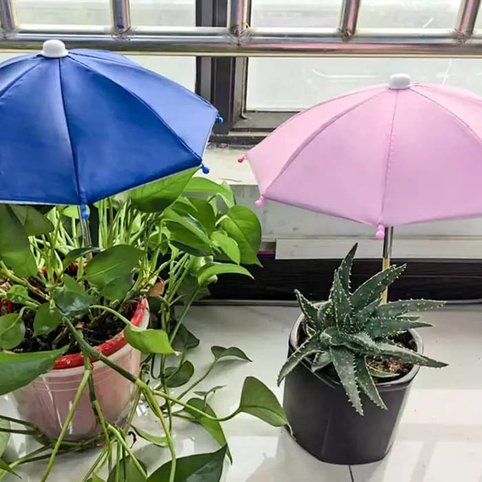 Parasol robuste pour plantes
