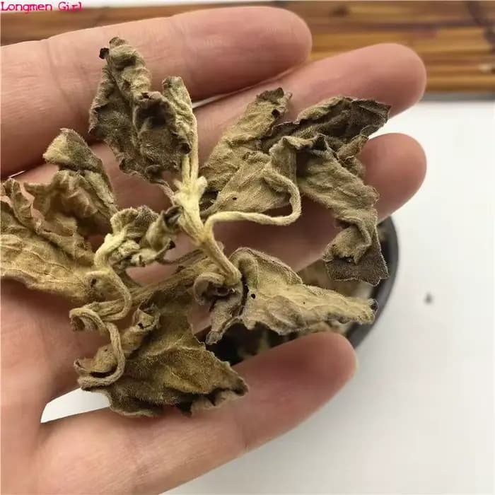 Encens de bougie naturel parfumé, Pogostemon, Bablin, Patchoumovies séchés, cuir chevelu pour Regina, parfum domestique, cadre, remplissage d'oreiller Vauxhall
