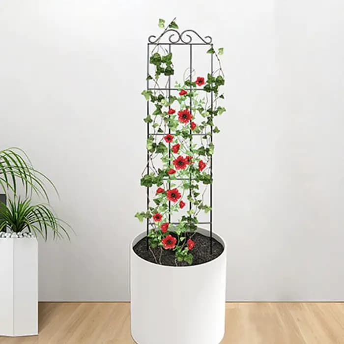 Treillis de jardin en métal pour plantes grimpantes