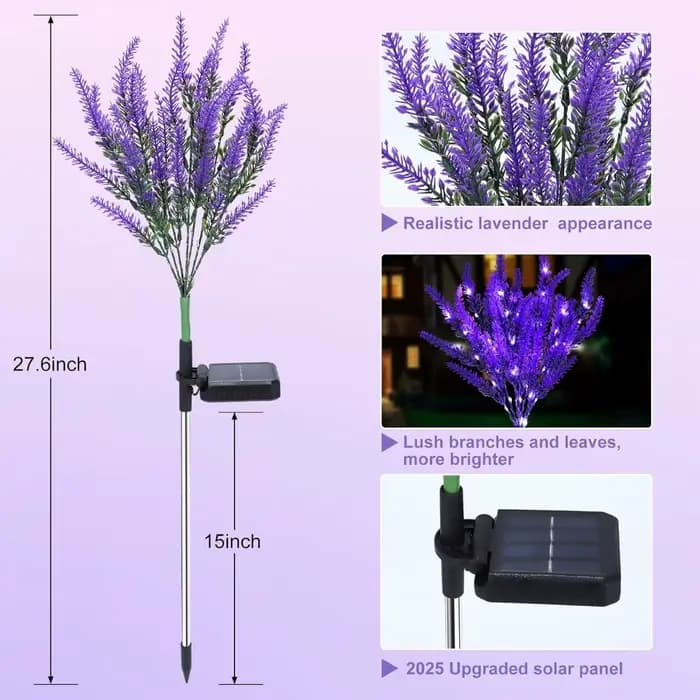 Décoration de jardin, pelouse