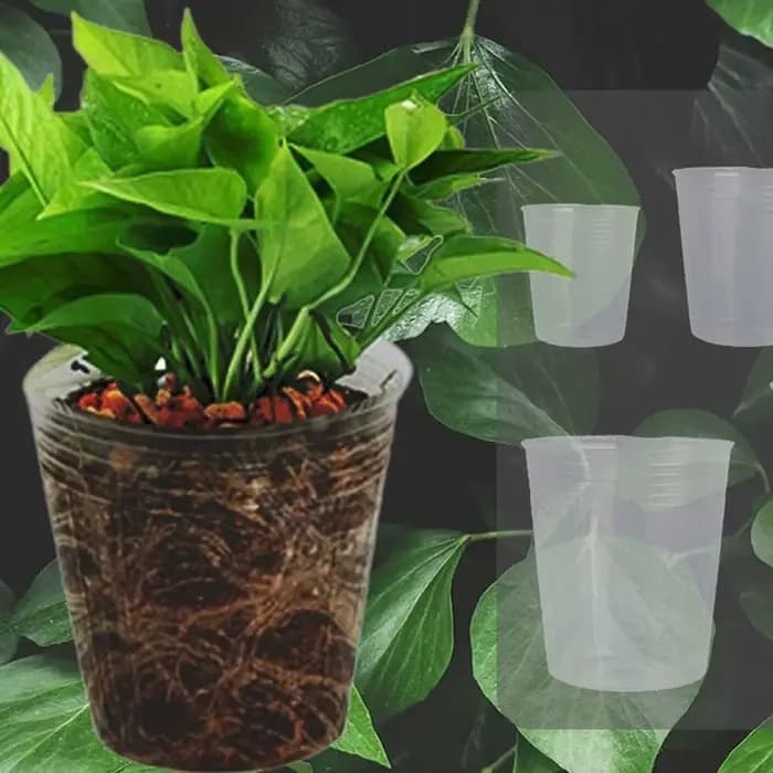 Outil de jardinage transparent pour conteneurs de jardin