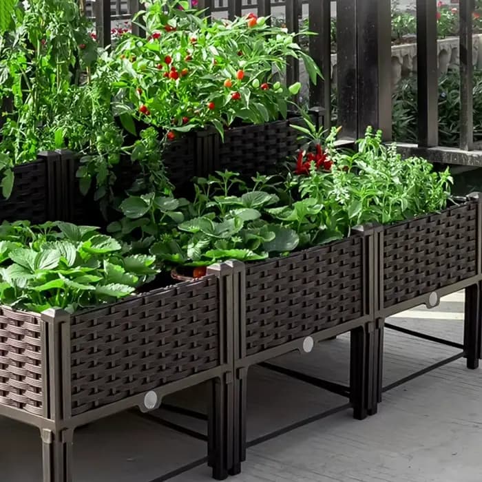 Pot de légumes de balcon