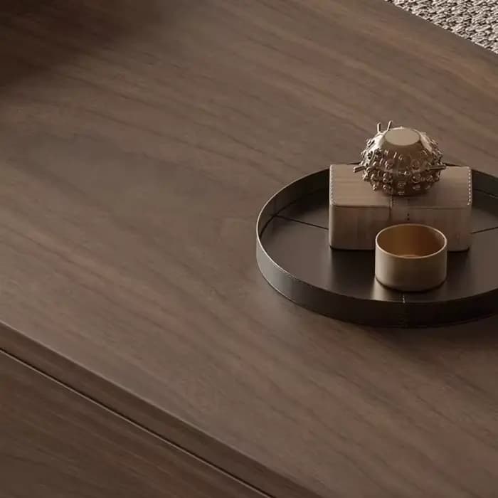 Table basse rétro en bois massif avec rangement