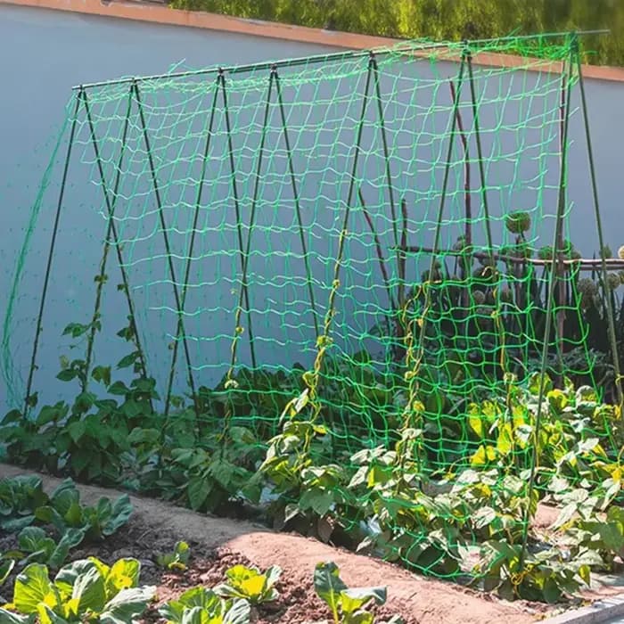 Pergolas de treillis pour plantes