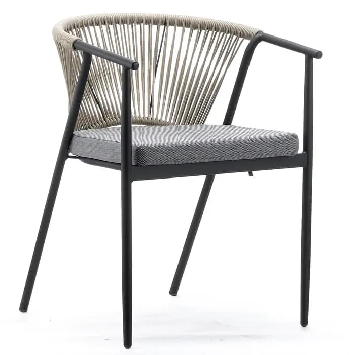 Chaise d'accoudoir de salle à manger avec cadre métallique