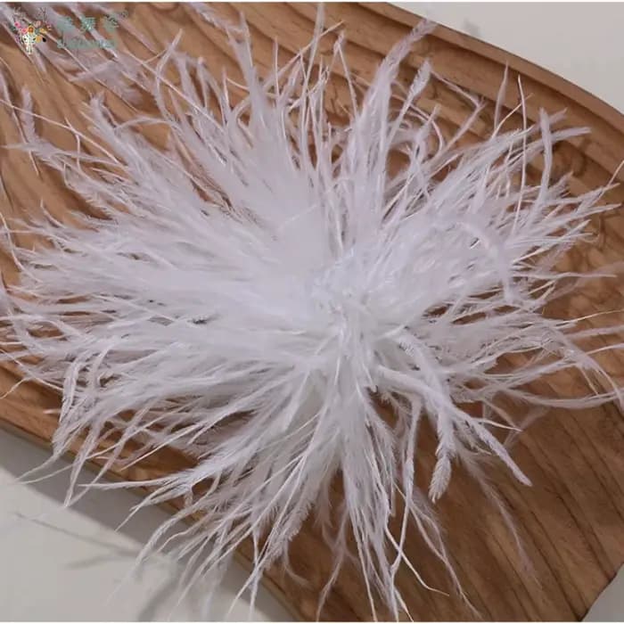 Coiffe de danse de salon, fleur en plumes d'autruche, épingle à cheveux, accessoires de coiffure pour danse latine moderne, fleur de tête, bijoux de cheveux de mariée