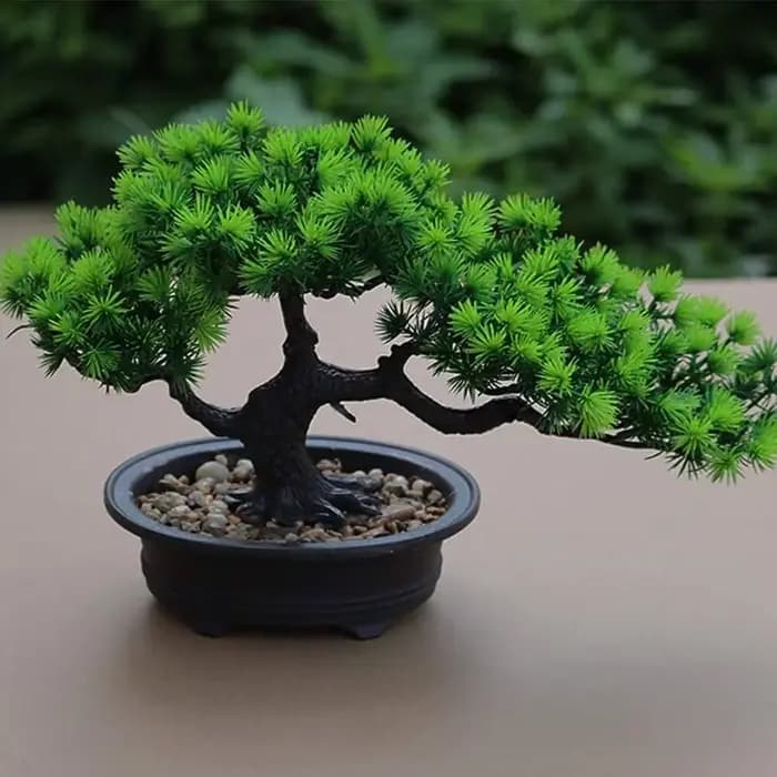 Plante Bonsaï Artificielle en Pot