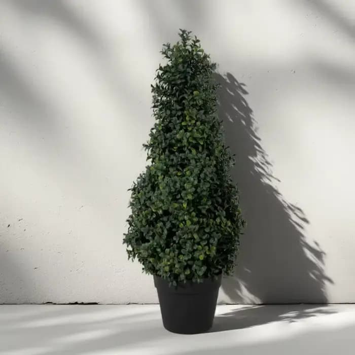Simulation d'arbre en buis inséré au sol
