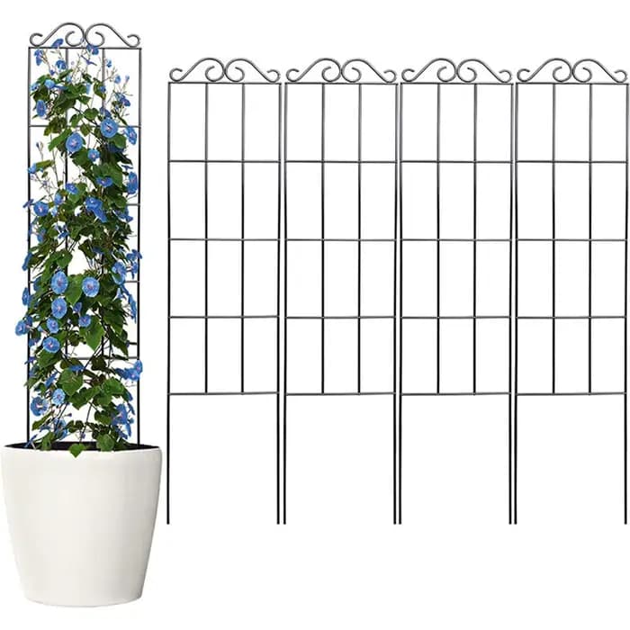 Treillis de jardin en métal pour plantes grimpantes