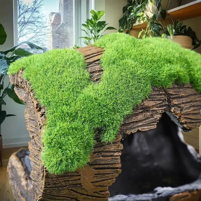Décoration d'aquarium, abri pour poissons, ornements en résine pour poissons et grotte cachée, aménagement paysager d'aquarium
