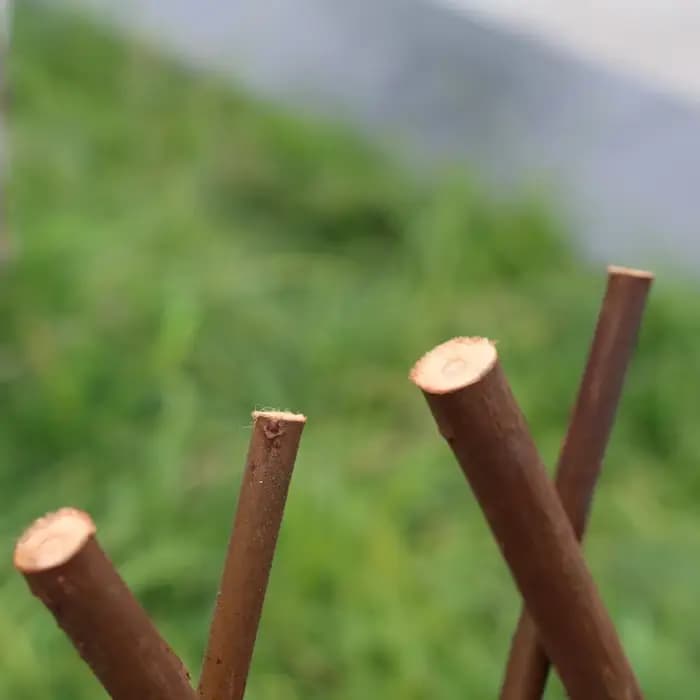 Clôture de jardin en bois, 40cm, extensible, pour plantes grimpantes