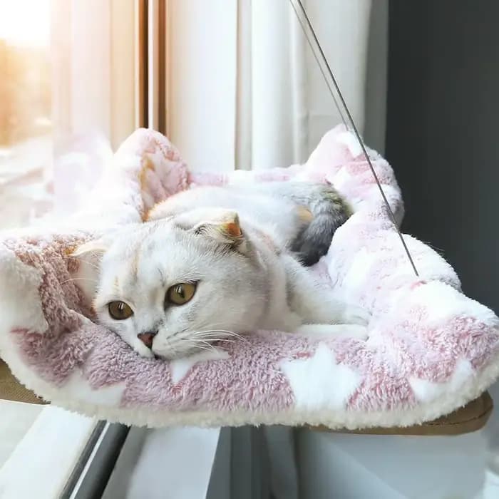 Hamac suspendu pour chat