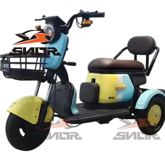 Chine Tricycle électrique adulte à 3 roues avec siège enfant et barre de poignée Certificat CEE Tricycles électriques E-Trrikes moins chers