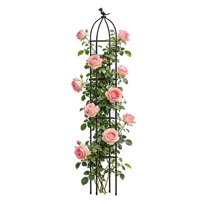 Treillis décoratif pour plantes en pot