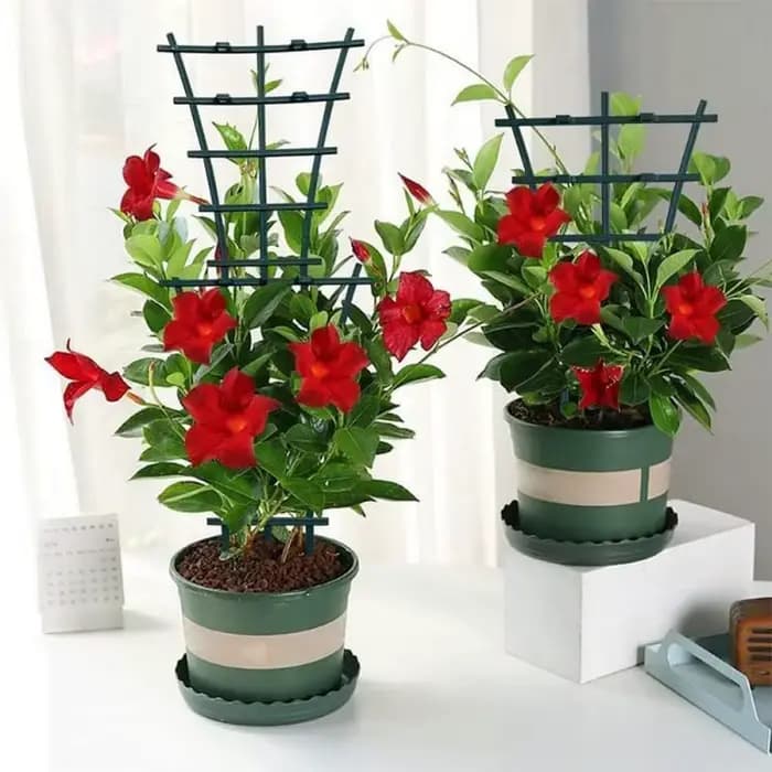 Petit treillis pour plantes en pot