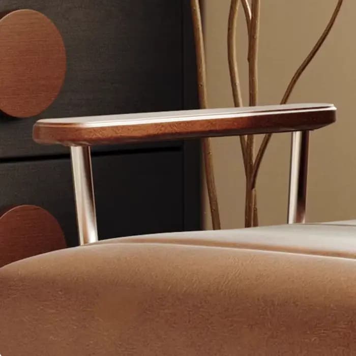 Fauteuils inclinables de salon