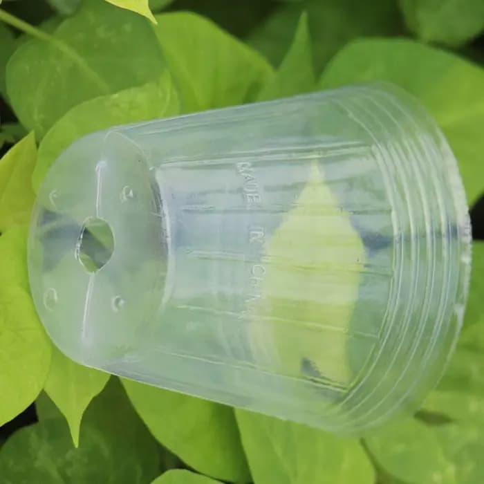 Outil de jardinage transparent pour conteneurs de jardin