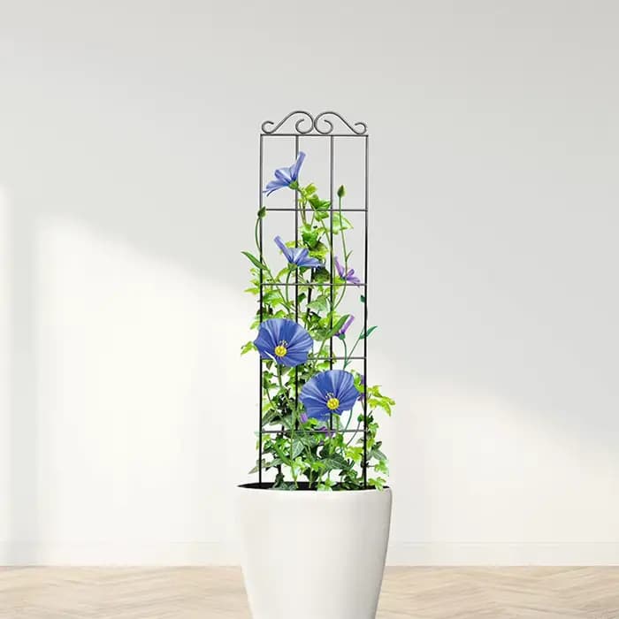Treillis de jardin en métal pour plantes grimpantes