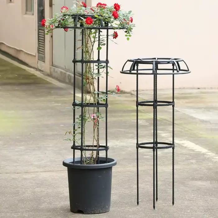 Treillis de fleurs pour plantes grimpantes