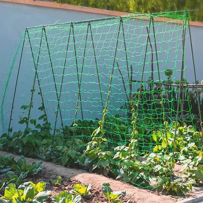 Pergolas pour plantes, filet de culture en polyester robuste