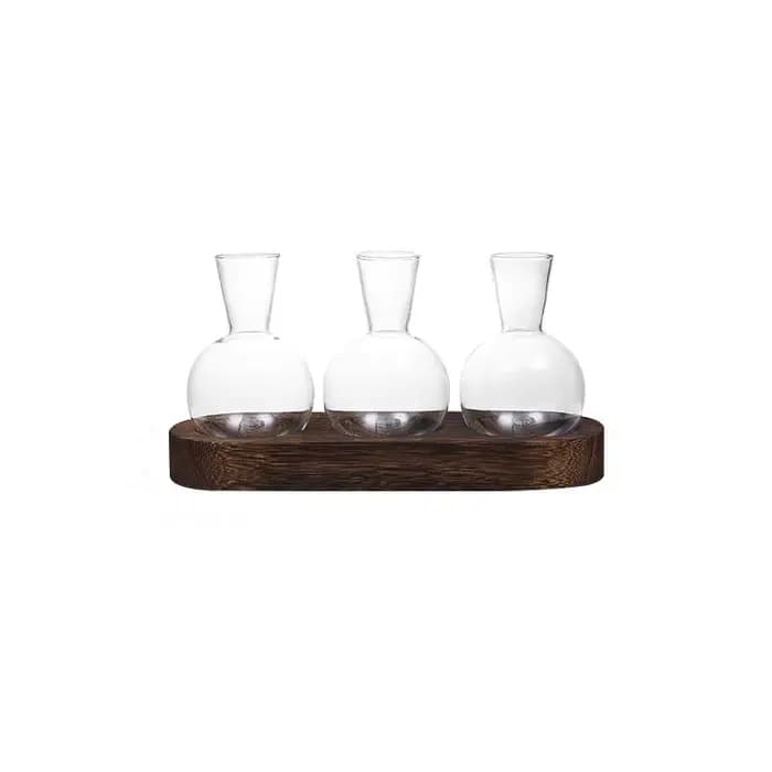 Vase en verre pour Terrarium de plantes, moderne et Transparent avec plateau en bois, Station de Pro