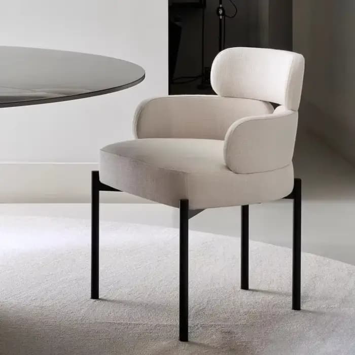 Chaises de Salle à Manger Ergonomiques Confortables et Modernes, Fauteuil d'Accent Esthétique, Mobil