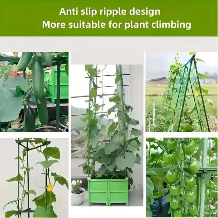 Paquet de 20 piquets de Support pour plantes polyvalents «robuste croissance», treillis de légumes e