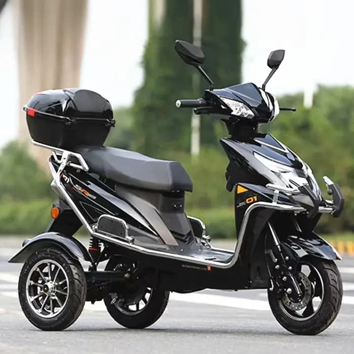 Tricycle électrique pour personnes handicapées, scooter électrique à 3 roues pour personnes âgées, t