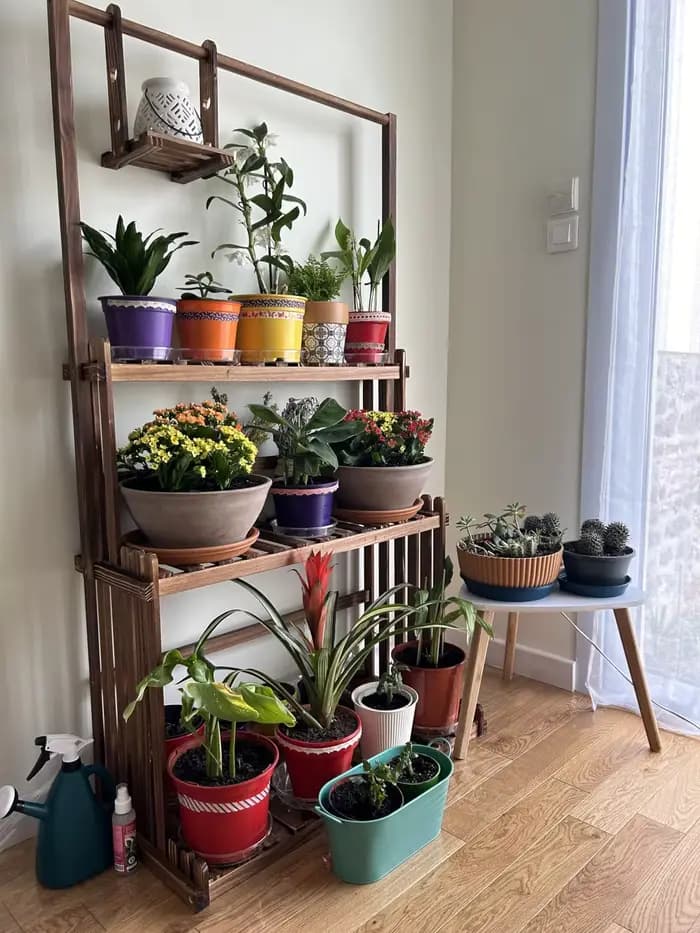 Support de plantes suspendu en bois à 3 niveaux, robuste, pour jardin, support de présentation de fl