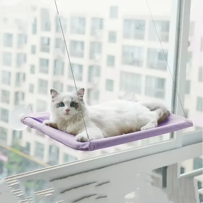 Nouveau hamac pour chat suspendu lit pour chat portant 20 kg confortable siège de fenêtre ensoleillé