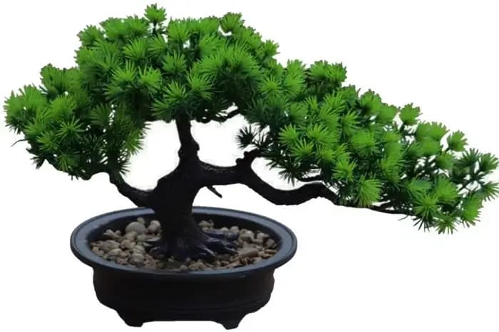 Plante Bonsaï Artificielle en Pot, Maison Enrichie Japonaise, 19 cm, 34 cm de Largeur, Décoration de