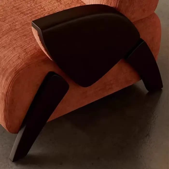 Chaises de salon classiques pour adultes