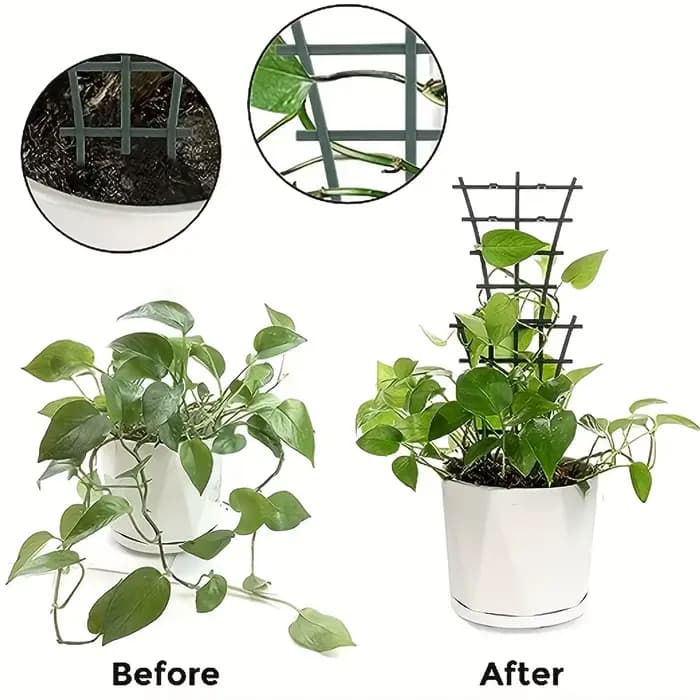 Échelles empilables en treillis pour plantes | Utilisation intérieure/extérieure