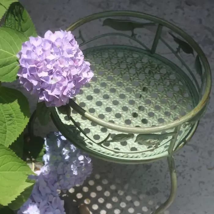 Support de jardin européen en fer forgé pour fleurs