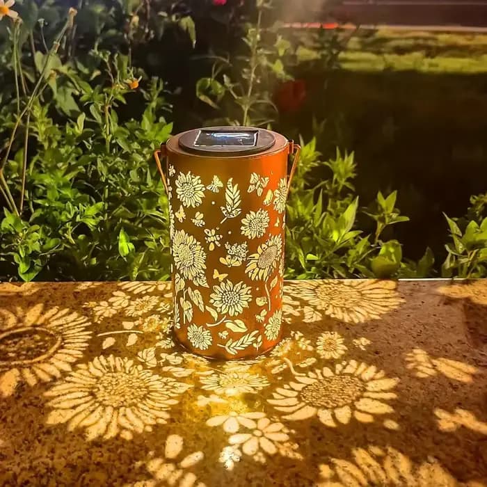 Lumière de tournesol et lumière d'ombre